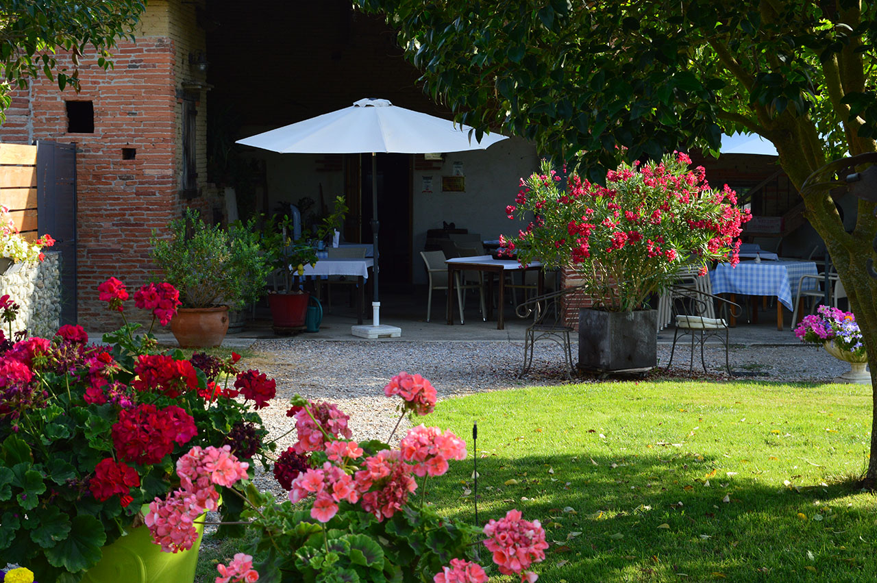 terrasse sous charpente