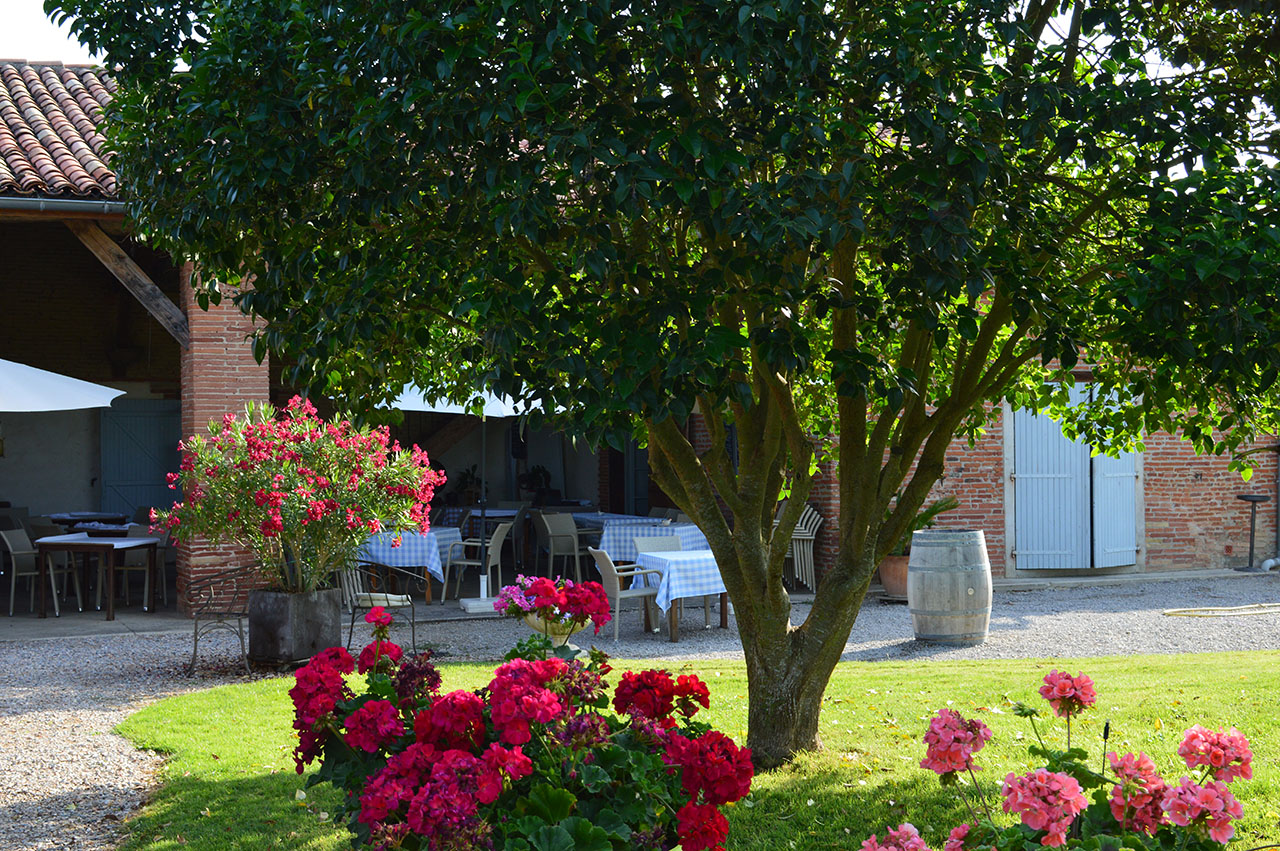 terrasse sous charpente